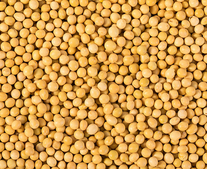 產(chǎn)品質(zhì)量